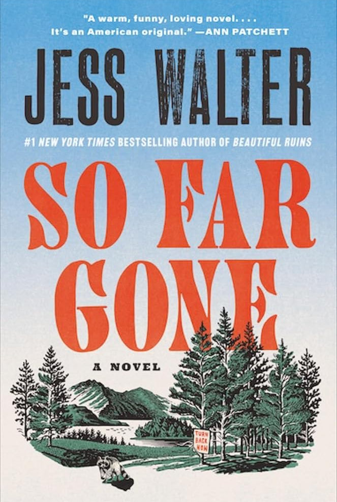 So Far Gone: A Novel cover image