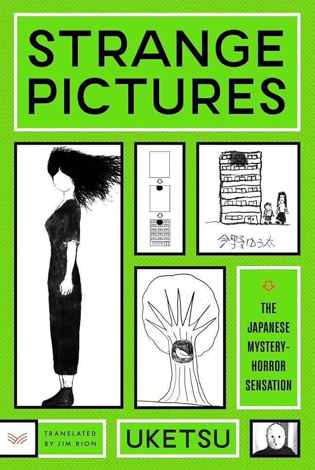 Strange Pictures: A Novel cover image