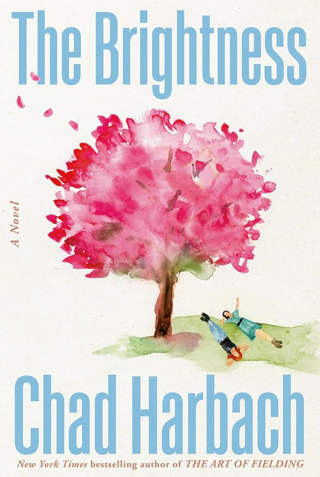 The Brightness: A Novel cover image