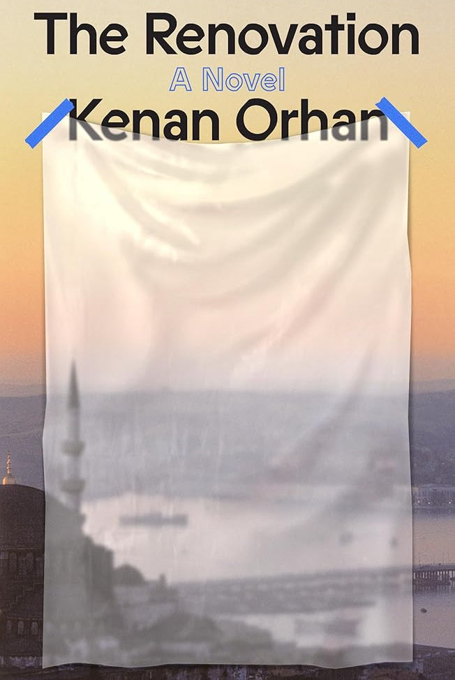 The Renovation: A Novel cover image