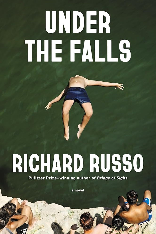 Under the Falls: A Novel cover image