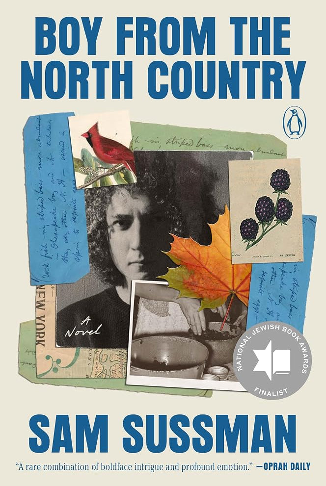 Boy from the North Country: A Novel cover image