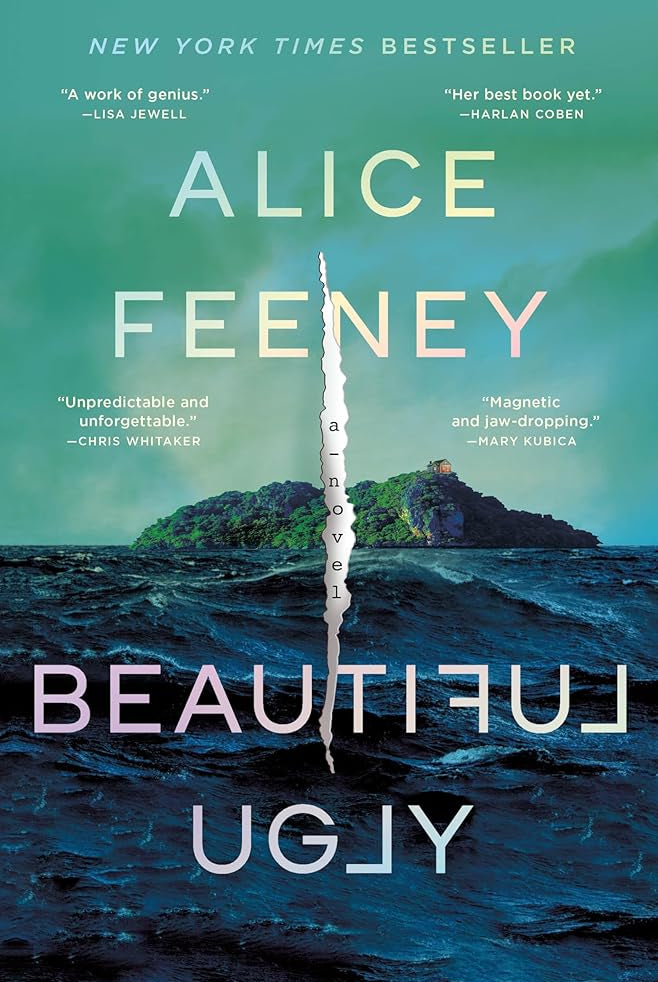 Beautiful Ugly: A Novel cover image