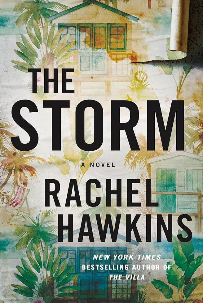 The Storm: A Novel cover image