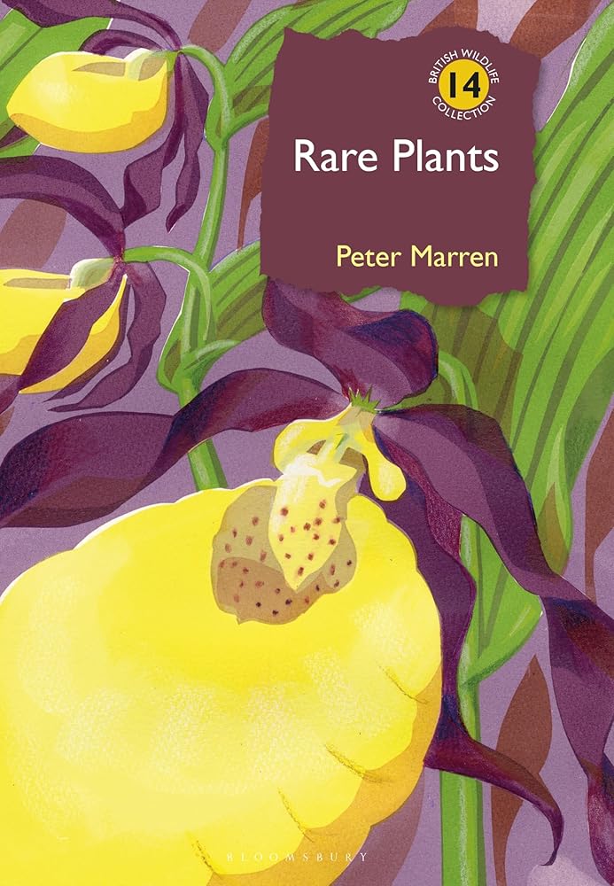 Rare Plants (British Wildlife Collection) cover image