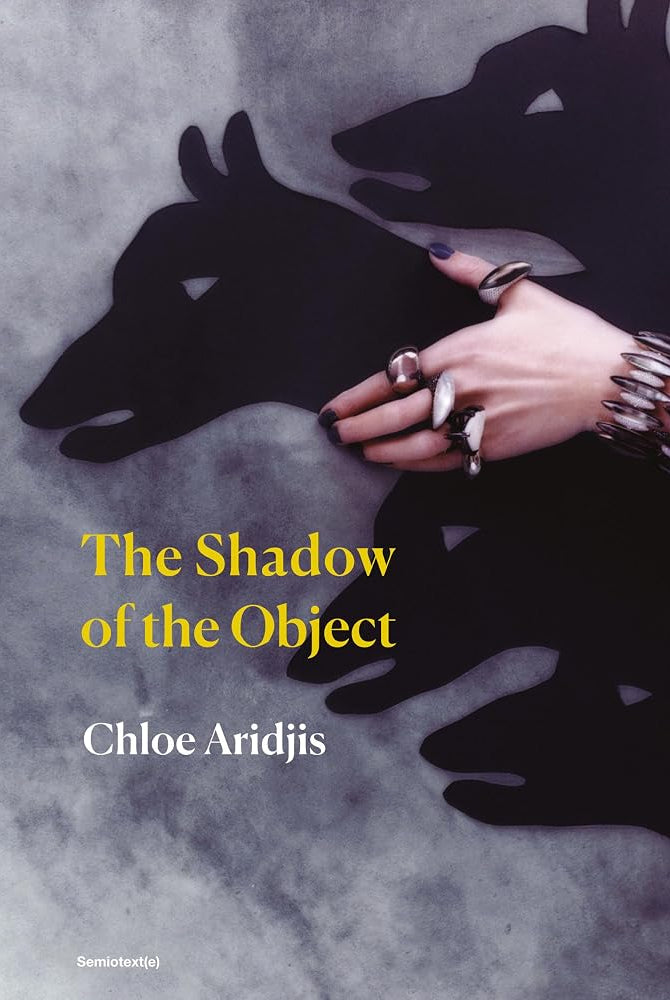 The Shadow of the Object (Semiotext(e) / Native Agents) cover image