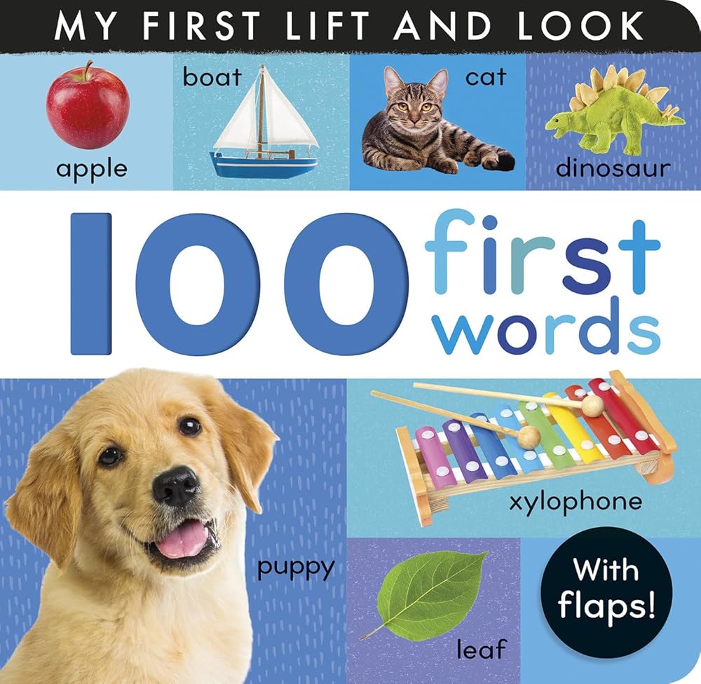 100 First Words: My First Lift and Look (with Flaps) cover image
