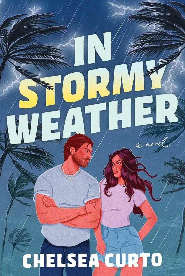 In Stormy Weather: A Novel cover image