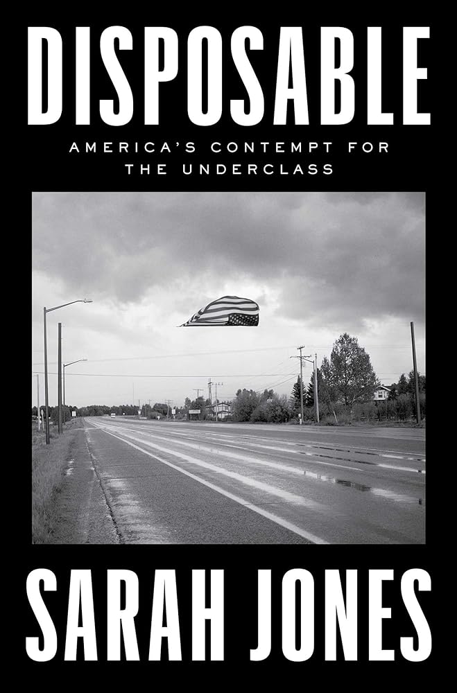 Disposable: America's Contempt for the Underclass cover image
