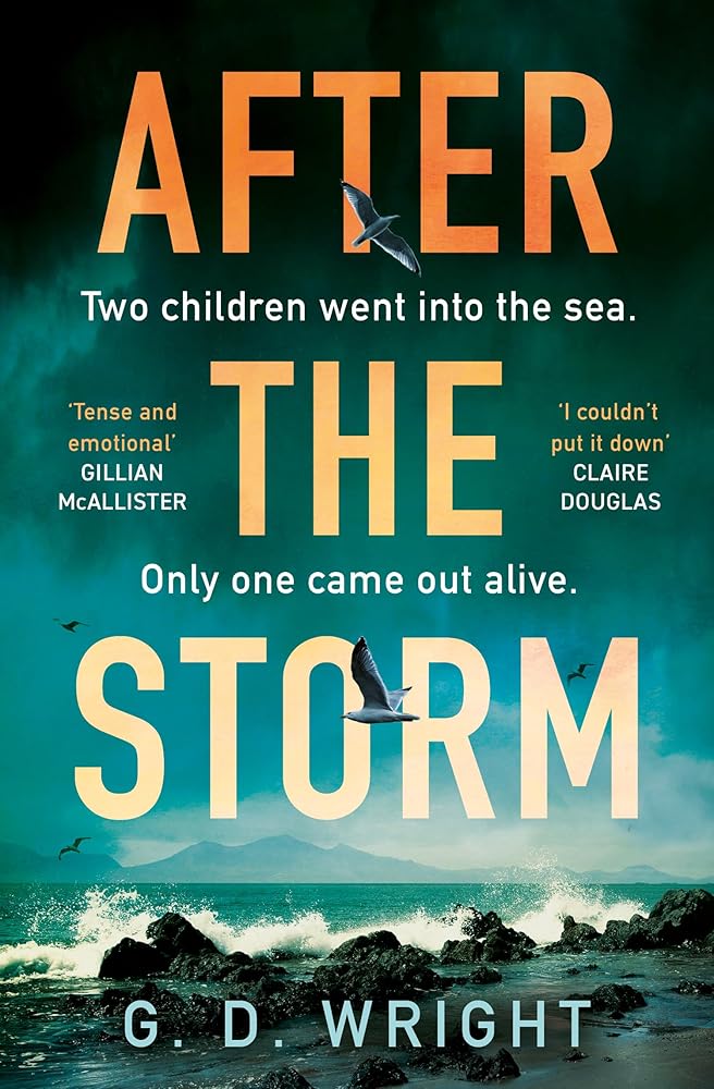 After the Storm: Loved by Claire Douglas, Lisa Jewell and Gillian McAllister, don’t miss the best debut crime drama novel for spring 2025, perfect for fans of Broadchurch and Happy Valley cover image