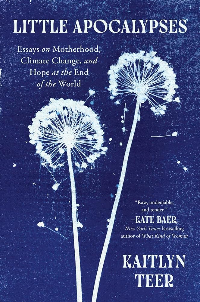 Little Apocalypses: Essays on Motherhood, Climate Change, and Hope at the End of the World cover image