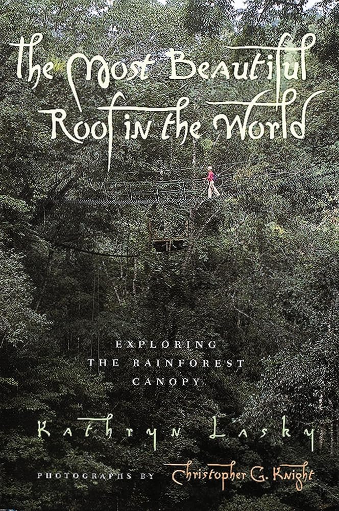 The Most Beautiful Roof in the World: Exploring the Rainforest Canopy cover image