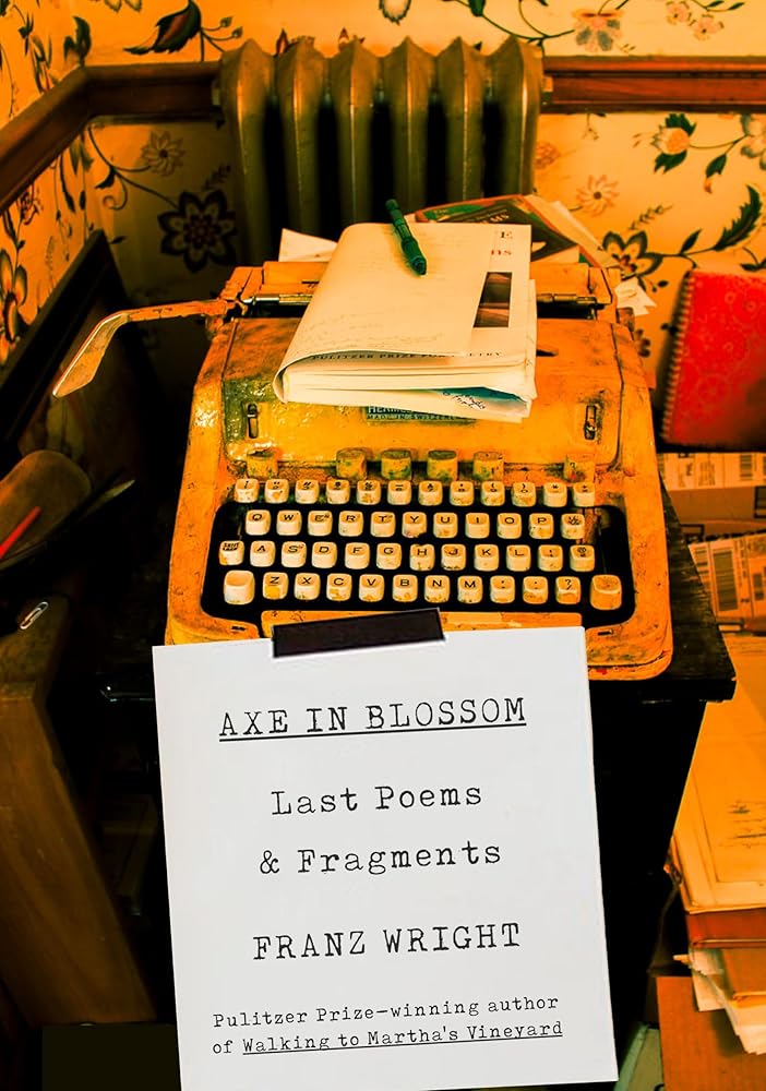Axe in Blossom: Last Poems & Fragments cover image