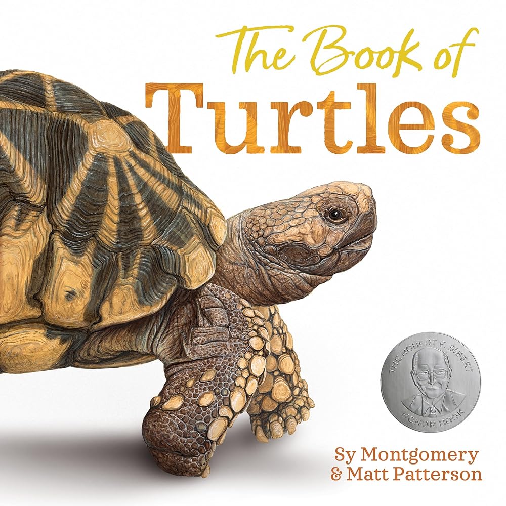 The Book of Turtles cover image