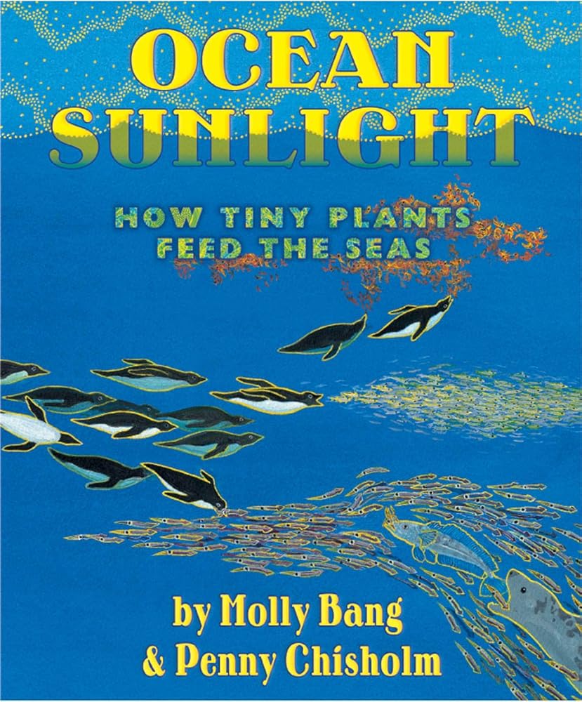 Ocean Sunlight: How Tiny Plants Feed the Seas cover image