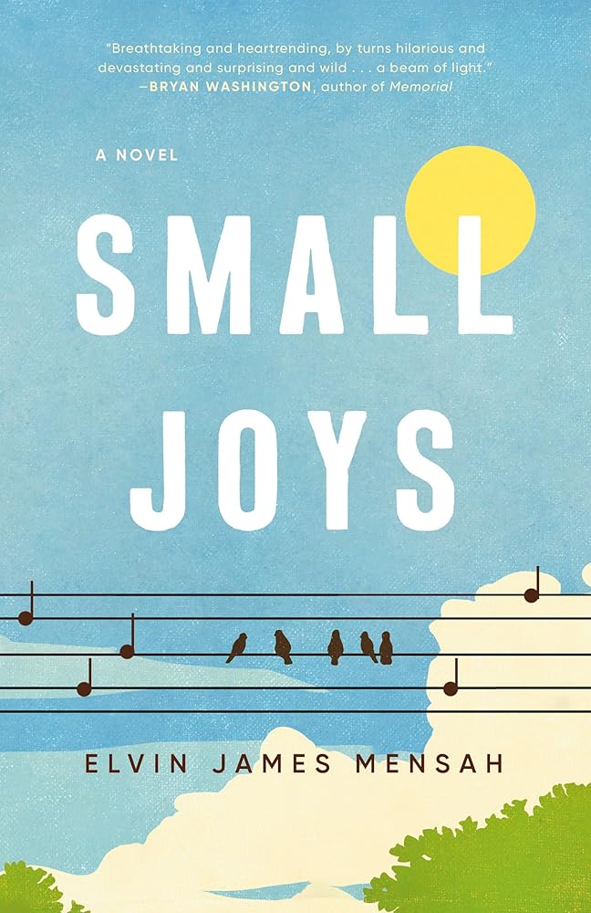 Small Joys: A Novel cover image