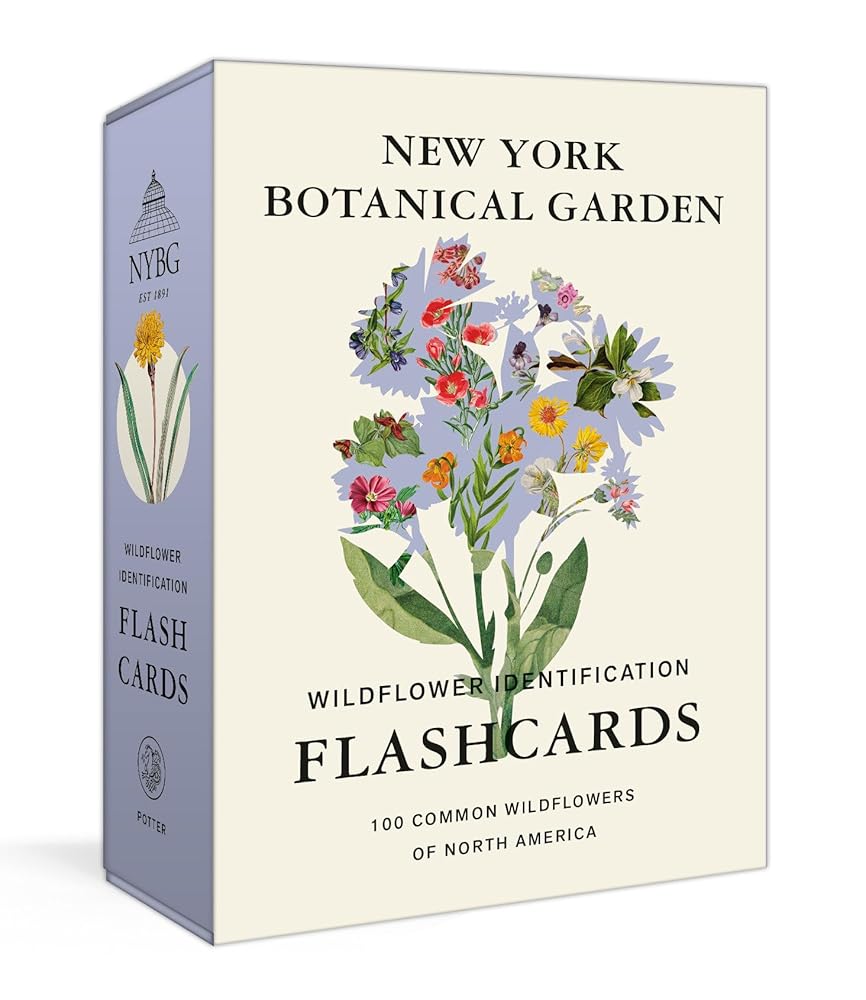 New York Botanical Garden Wildflower Identification Flashcards: 100 Common Wildflowers of North America cover image