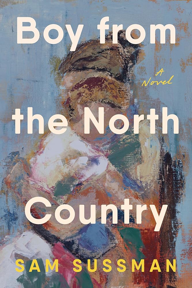 Boy from the North Country: A Novel cover image