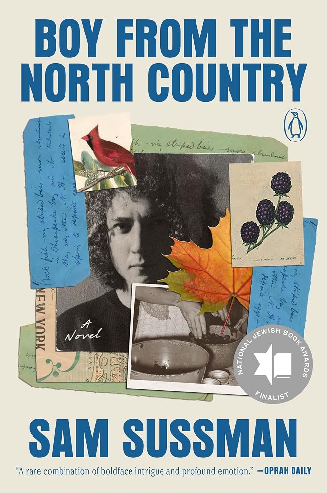 Boy from the North Country: A Novel cover image