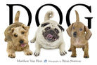 Dog cover image