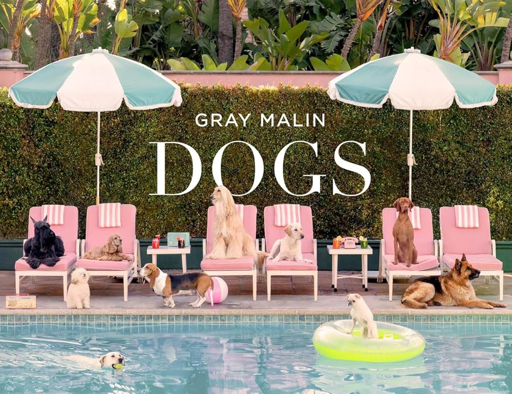 Gray Malin: Dogs: Photographs cover image
