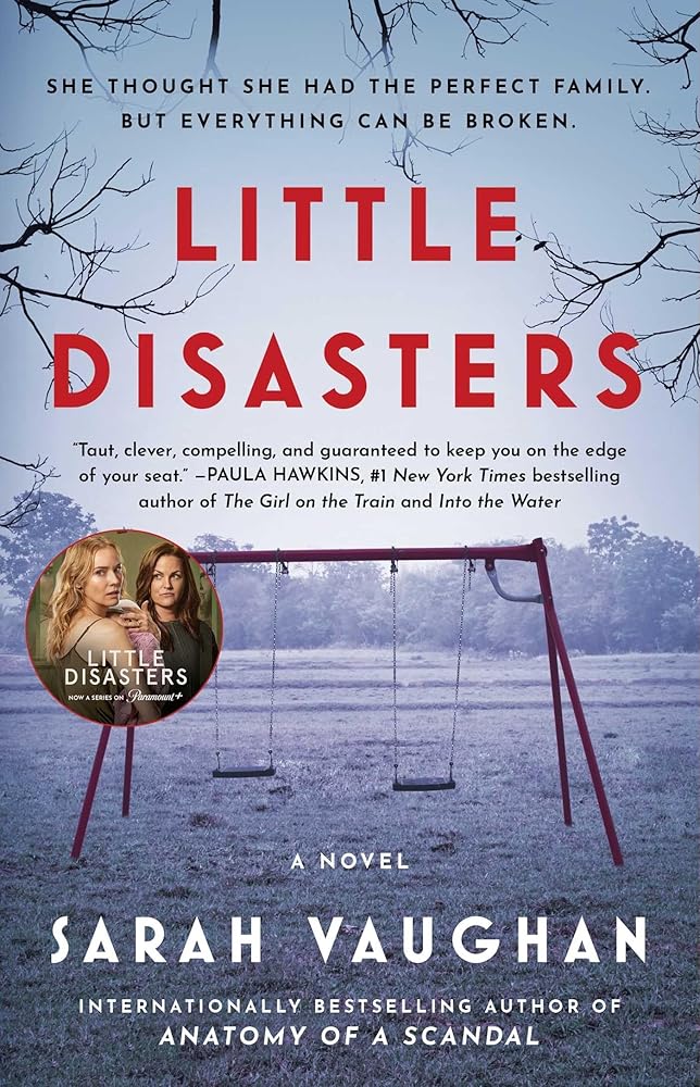 Little Disasters: A Novel cover image