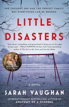 Little Disasters: A Novel cover image