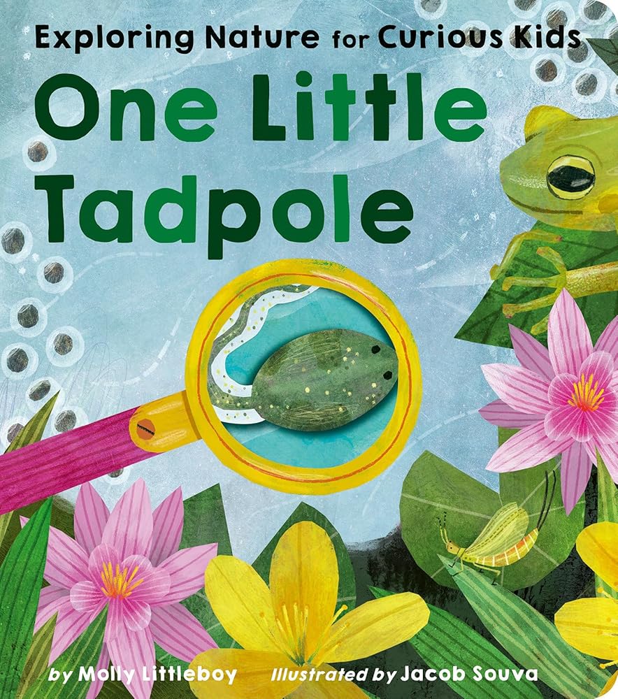 One Little Tadpole: Exploring Nature for Curious Kids cover image