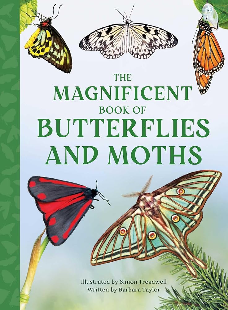 The Magnificent Book of Butterflies & Moths cover image